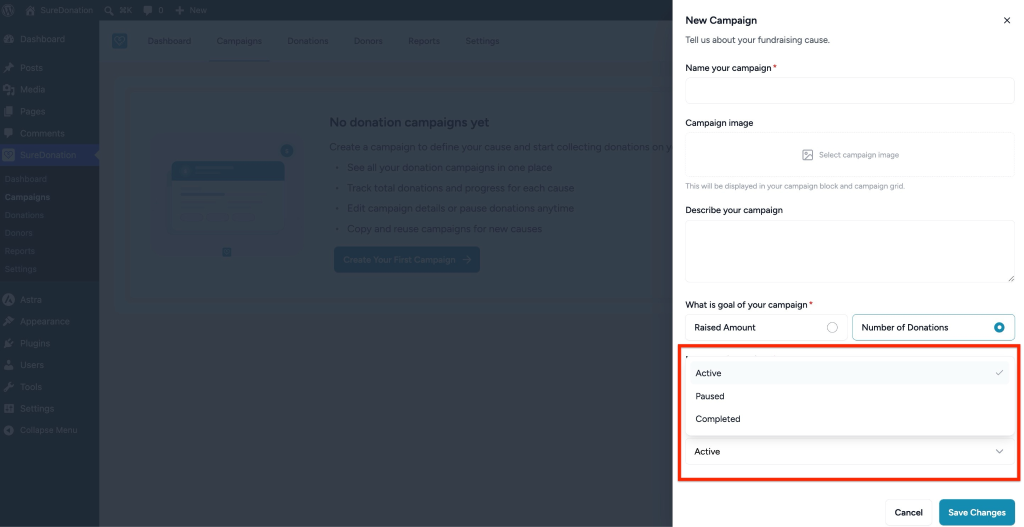 Creating Your First Campaign in SureDonation Campaign status options shown